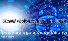 xiaoxie导入助记词后钱包没有币的原因及解决方案