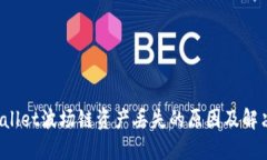  TPWallet波场链资产丢失的原因及解决方案