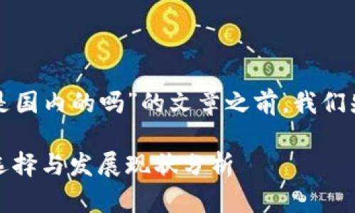 在撰写关于“tpwallet是国内的吗”的文章之前，我们先进行和关键词的设定。

tpwallet：国内钱包的选择与发展现状分析