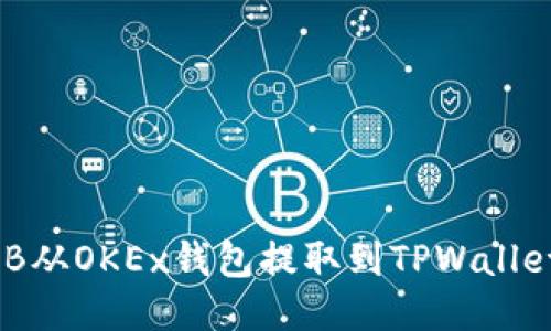 如何将SHIB从OKEx钱包提取到TPWallet：详细指南