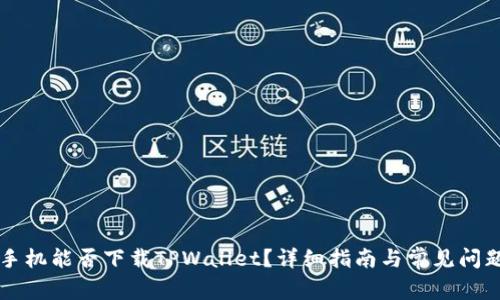 苹果手机能否下载TPWallet？详细指南与常见问题解答