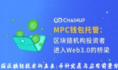中国区块链技术的未来：币种发展与应用前景分