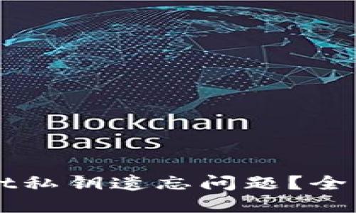 如何应对TPWallet私钥遗忘问题？全面指南与解决方案