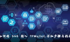 如何将 BNB 转入 TPWallet：详细步骤与指南