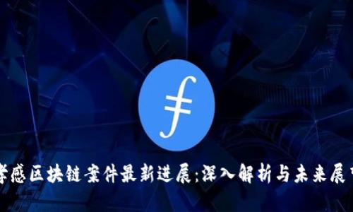 孝感区块链案件最新进展：深入解析与未来展望