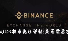 TPWallet提币流程详解：是否需要密码？