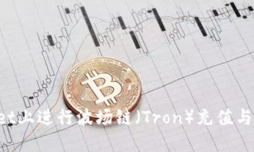 如何在TPWallet上进行波场链（Tron）充值与交易？全面指南