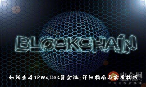 如何查看TPWallet资金池：详细指南与实用技巧
