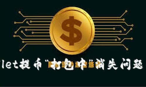 解决TPWallet提币“打包中”消失问题的详细指南