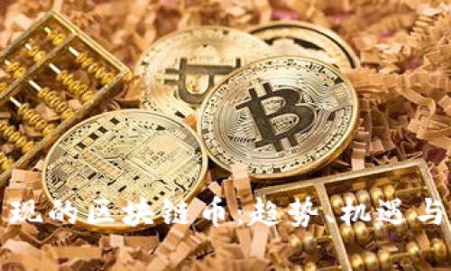 这些年出现的区块链币：趋势、机遇与挑战解析