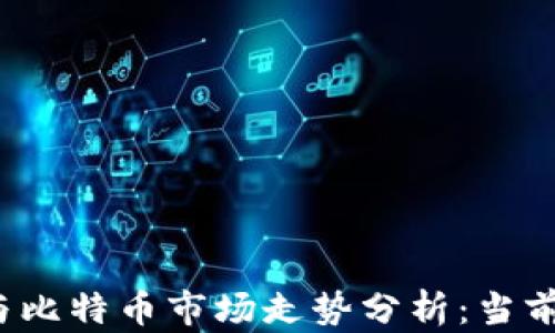 
2023年区块链与比特币市场走势分析：当前挑战与未来展望