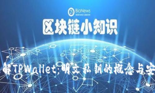 深入理解TPWallet：明文私钥的概念与安全实践