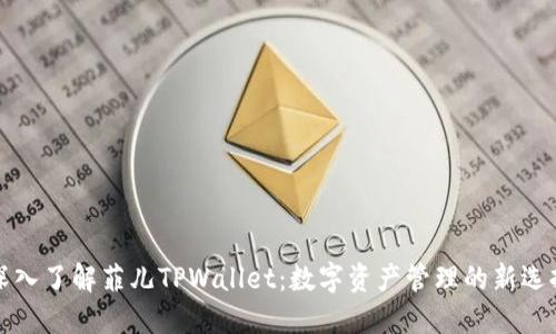 深入了解菲儿TPWallet：数字资产管理的新选择