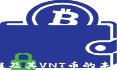 云橡区块链及其VNT币的未来发展探讨