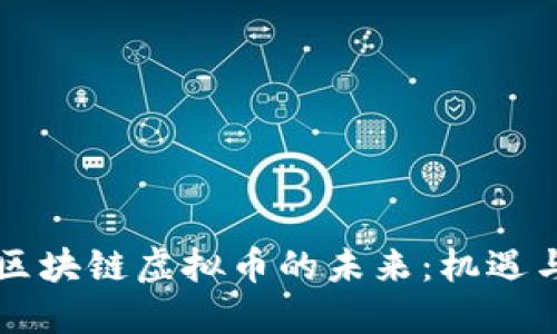网络区块链虚拟币的未来：机遇与挑战