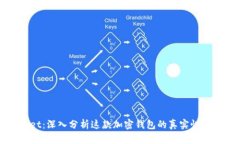 TPWallet：深入分析这款加密钱包的真实性与安全性