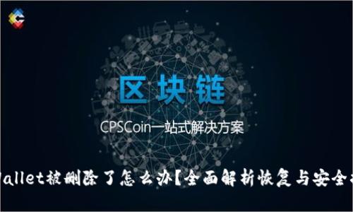 TPWallet被删除了怎么办?全面解析恢复与安全措施