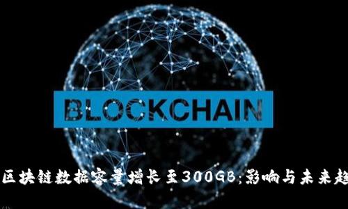 比特币区块链数据容量增长至300GB：影响与未来趋势分析