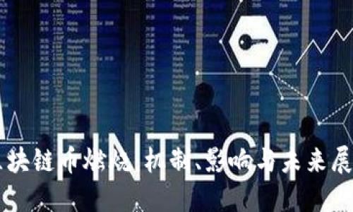 区块链币燃烧：机制、影响与未来展望