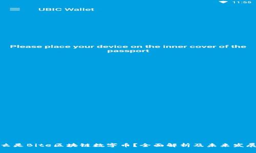 是什么是Bite区块链数字币？全面解析及未来发展趋势