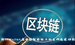 深入解析TPWallet在币安智能链上的主网通道功能与