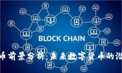 区块链Pi币前景分析：未来数字货币的潜力与挑战