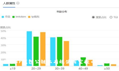 如何在TP钱包公链上有效使用空投币:全面指南
