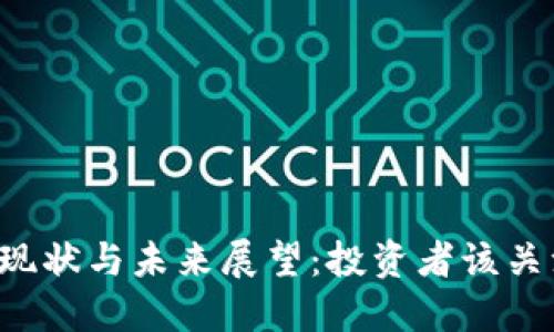 区块链币的现状与未来展望：投资者该关注哪些因素？