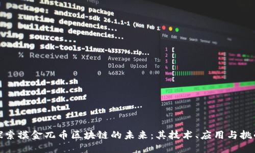 探索摸金兀币区块链的未来:其技术、应用与挑战