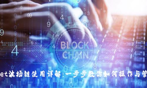 TPWallet波场链使用详解:一步步教你如何操作与管理资产