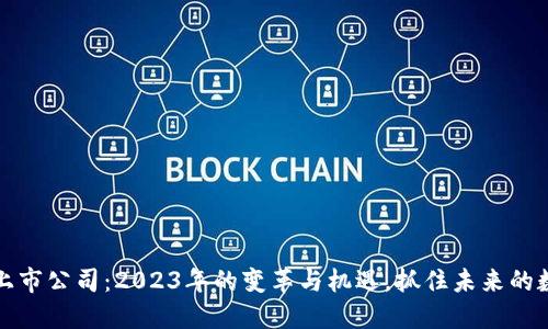 区块链上市公司：2023年的变革与机遇，抓住未来的数字浪潮