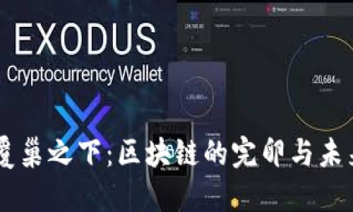 币圈覆巢之下：区块链的完卵与未来展望