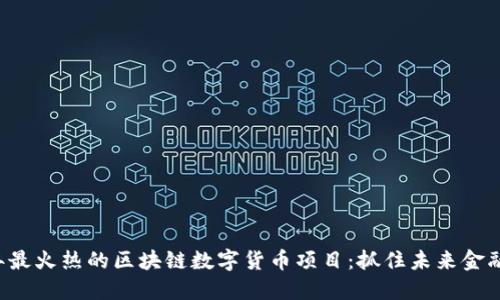 2023年最火热的区块链数字货币项目：抓住未来金融的风口