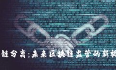 币链分离：未来区块链监管的新视角