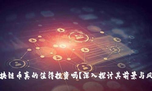 区块链币真的值得投资吗？深入探讨其前景与风险