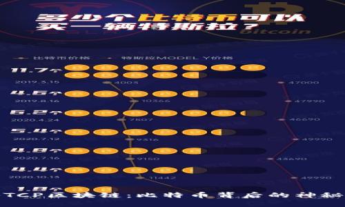 探秘TCP区块链：比特币背后的神秘面纱