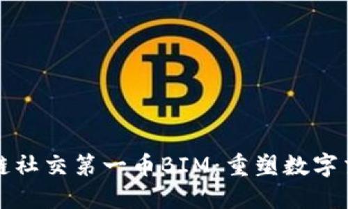 全球区块链社交第一币BIM：重塑数字交互的未来