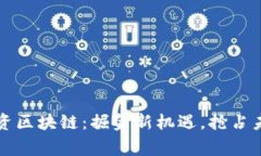 国家投资区块链：掘金新机遇，抢占未来蓝海