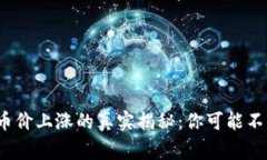 区块链开源后，币价上涨的真实揭秘：你可能不