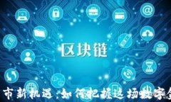 区块链牛市新机遇：如何把握这场数字金融浪潮