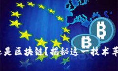 先有比特币，还是区块链？揭秘这一技术革命背