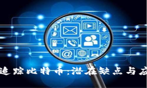 区块链追踪比特币：潜在缺点与应对策略