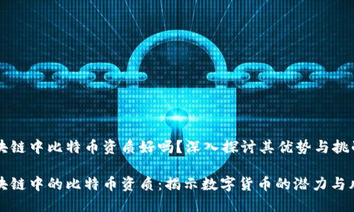 区块链中比特币资质好吗？深入探讨其优势与挑战

区块链中的比特币资质：揭示数字货币的潜力与风险