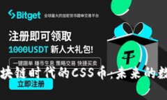 深度解析区块链时代的CSS币：未来的数字货币新