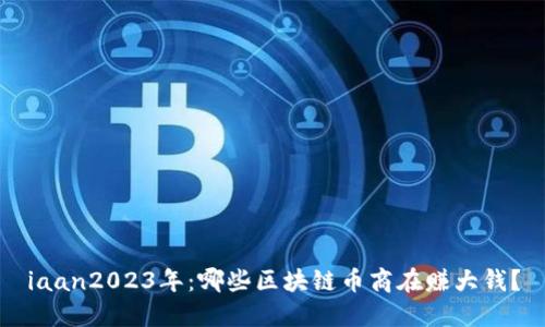 iaan2023年：哪些区块链币商在赚大钱？