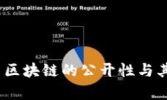 深入解析：比特币区块链的公开性与其背后的技