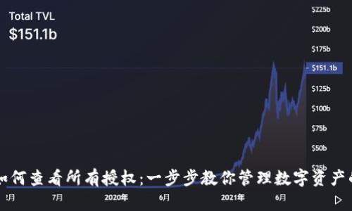 TPWallet如何查看所有授权：一步步教你管理数字资产的授权权限
