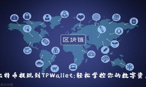 比特币提现到TPWallet：轻松掌控你的数字资产