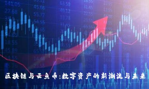 区块链与云鱼币：数字资产的新潮流与未来