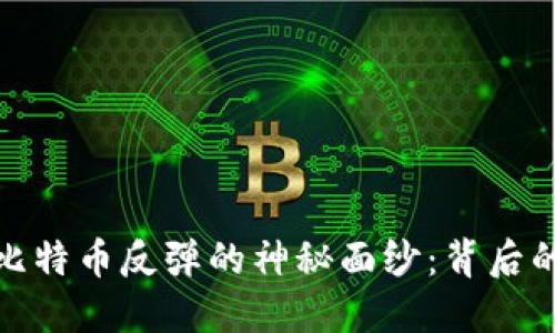 揭开区块链比特币反弹的神秘面纱：背后的原因与影响